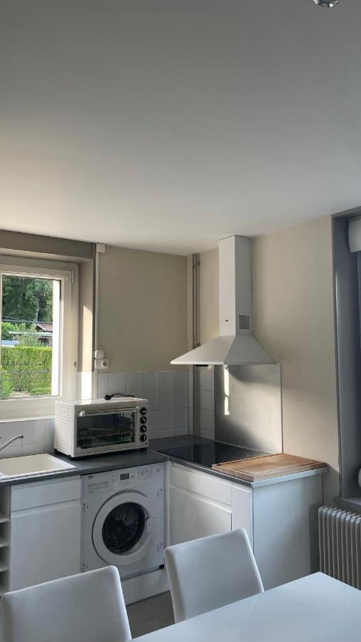 Appartement La Fourmi Verte Bruyeres Exteriör bild